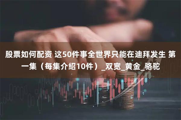 股票如何配资 这50件事全世界只能在迪拜发生 第一集（每集介绍10件）_双宽_黄金_骆驼